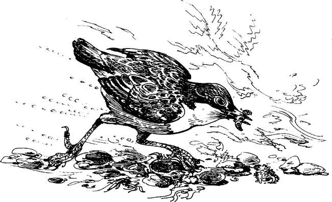 На теплой земле (сборник)