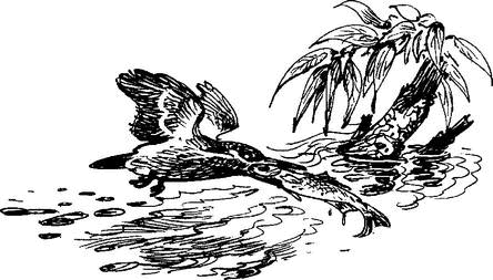На теплой земле (сборник)
