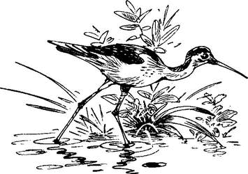 На теплой земле (сборник)