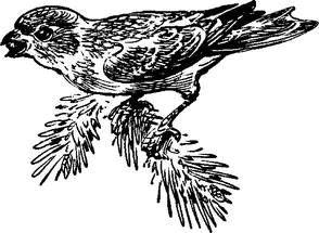 На теплой земле (сборник)