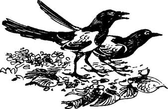 На теплой земле (сборник)