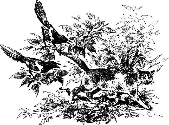 На теплой земле (сборник)