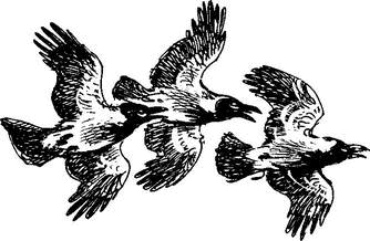 На теплой земле (сборник)