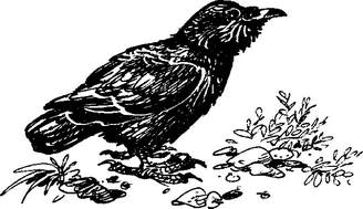 На теплой земле (сборник)