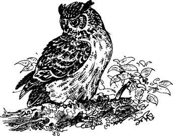 На теплой земле (сборник)