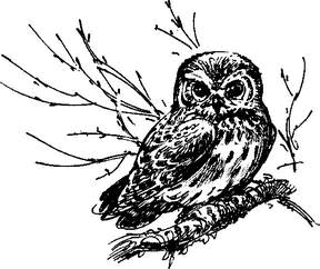 На теплой земле (сборник)