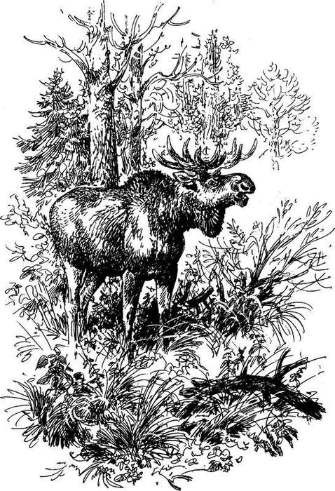 На теплой земле (сборник)