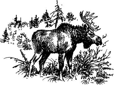 На теплой земле (сборник)