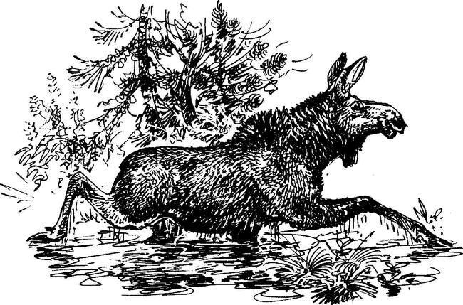На теплой земле (сборник)