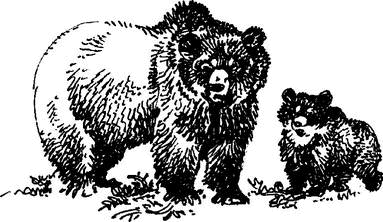 На теплой земле (сборник)