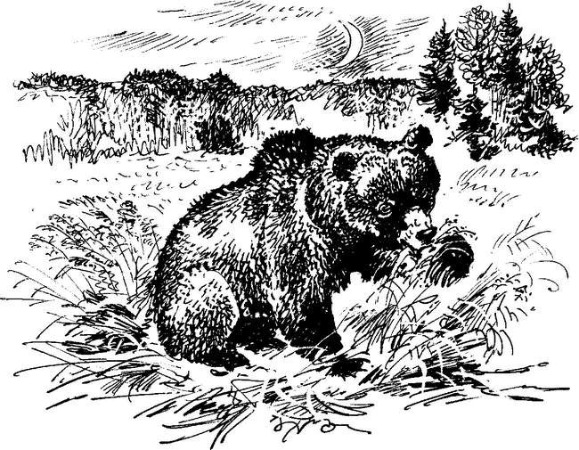 На теплой земле (сборник)