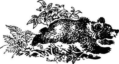 На теплой земле (сборник)