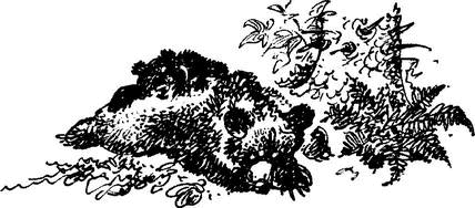 На теплой земле (сборник)