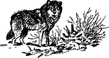 На теплой земле (сборник)