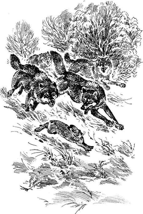 На теплой земле (сборник)
