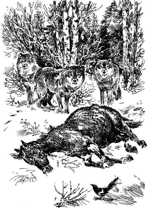 На теплой земле (сборник)