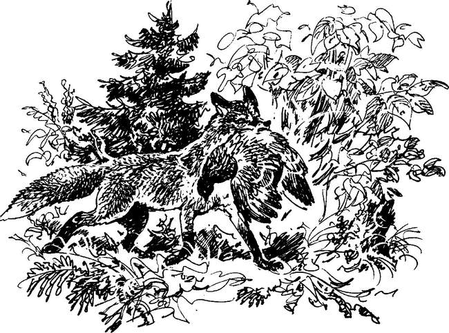 На теплой земле (сборник)