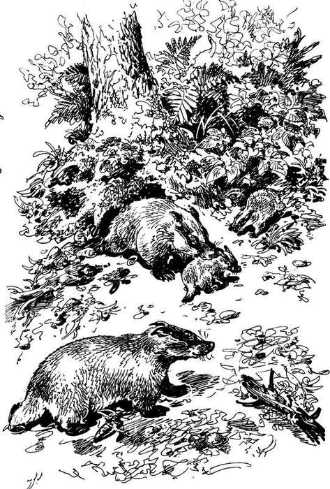 На теплой земле (сборник)