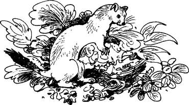 На теплой земле (сборник)