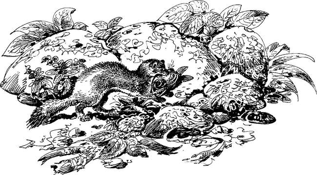 На теплой земле (сборник)