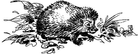 На теплой земле (сборник)