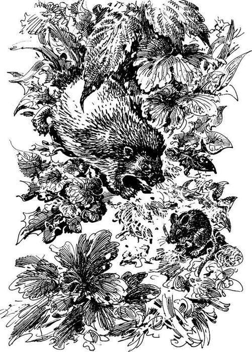 На теплой земле (сборник)