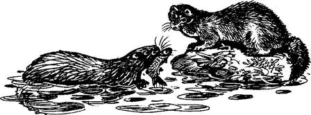 На теплой земле (сборник)
