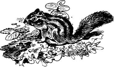 На теплой земле (сборник)