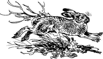 На теплой земле (сборник)