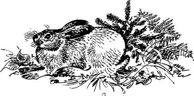 На теплой земле (сборник)