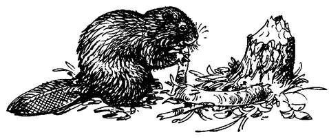 На теплой земле (сборник)
