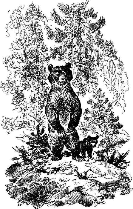 На теплой земле (сборник)