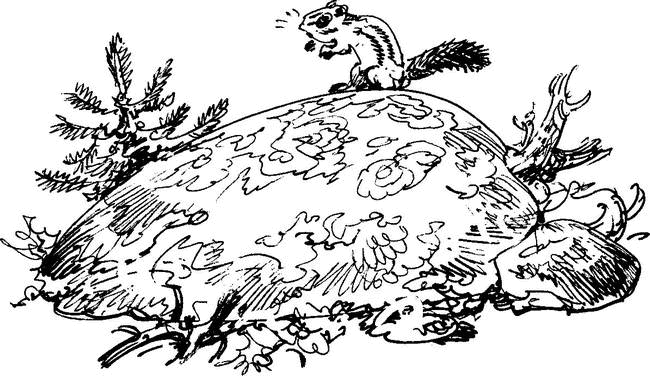 На теплой земле (сборник)