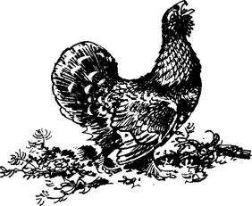 На теплой земле (сборник)