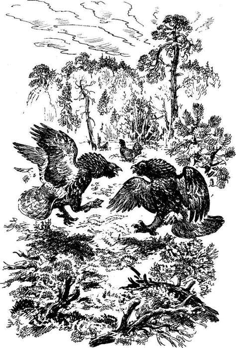 На теплой земле (сборник)