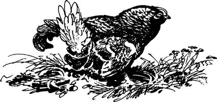 На теплой земле (сборник)