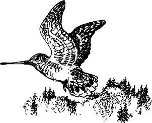 На теплой земле (сборник)