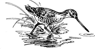 На теплой земле (сборник)