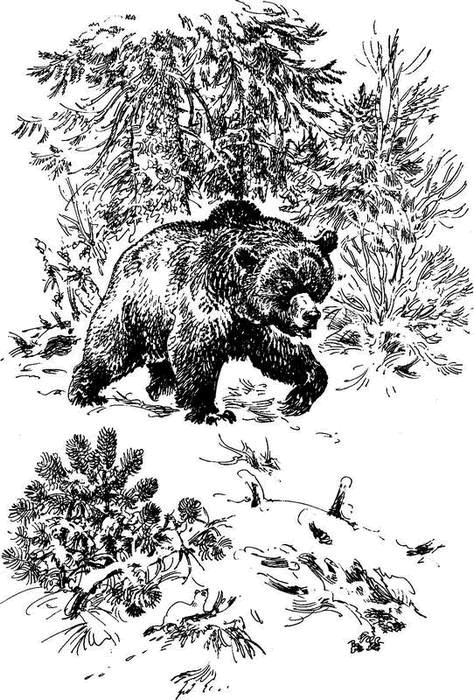 На теплой земле (сборник)