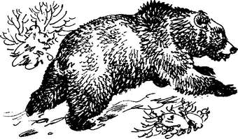 На теплой земле (сборник)