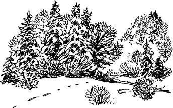На теплой земле (сборник)