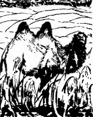 Великий путешественник. Жизнь и деятельность Н. М. Пржевальского, первого исследователя природы Центральной Азии