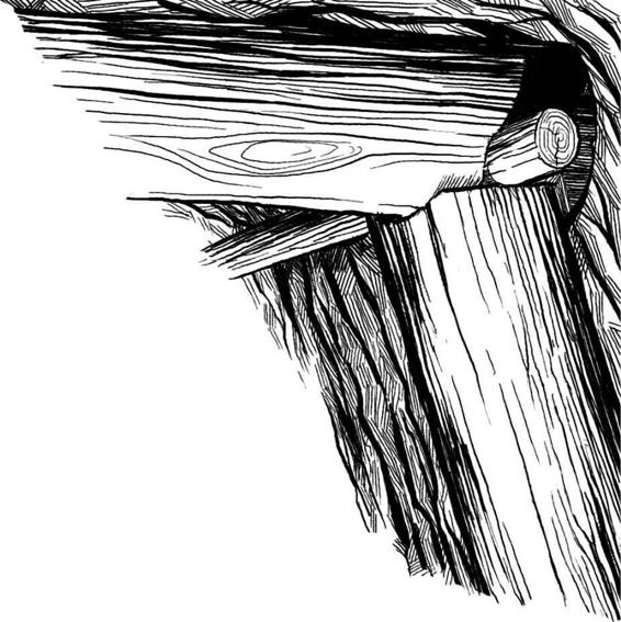 The Slow Regard of Silent Things