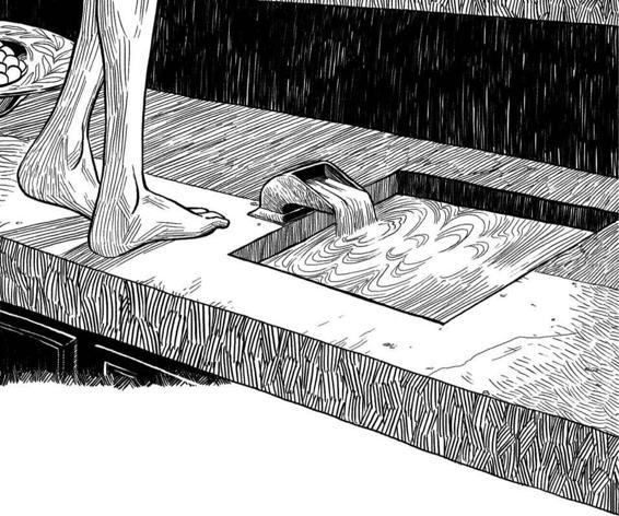 The Slow Regard of Silent Things