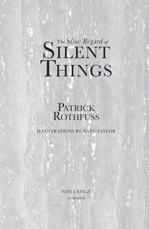 The Slow Regard of Silent Things