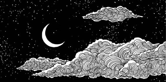 The Slow Regard of Silent Things