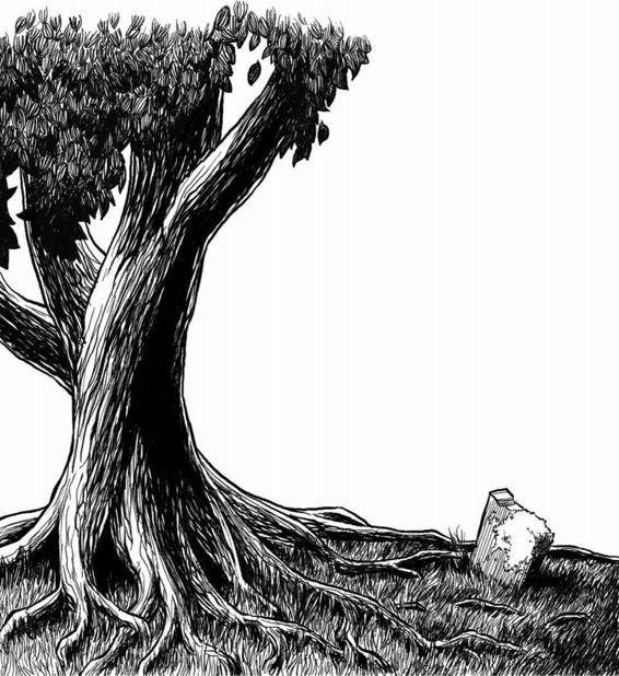 The Slow Regard of Silent Things