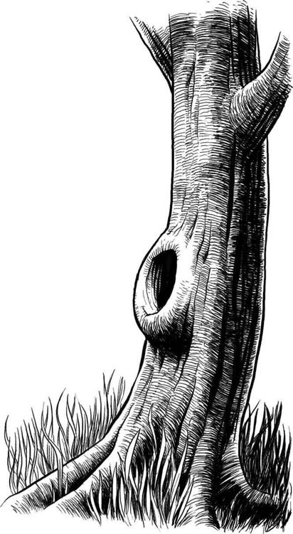The Slow Regard of Silent Things