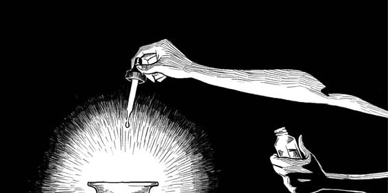 The Slow Regard of Silent Things