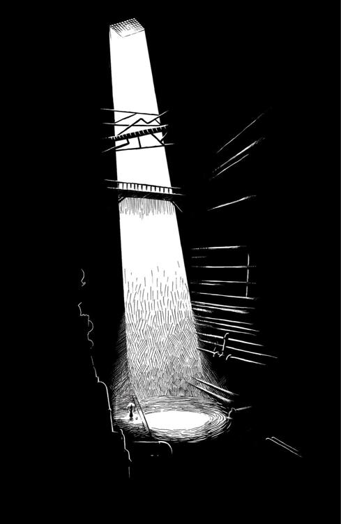The Slow Regard of Silent Things